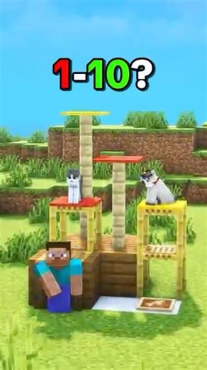 Building a Minecraft House for My Cat