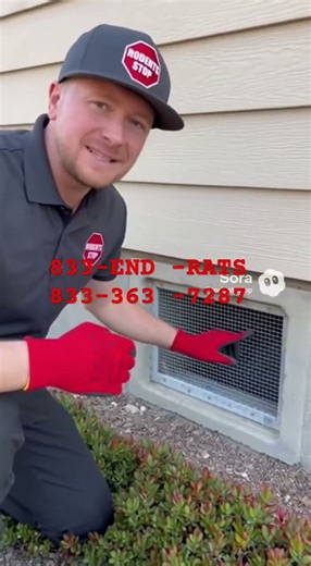 Vermin proofing near me