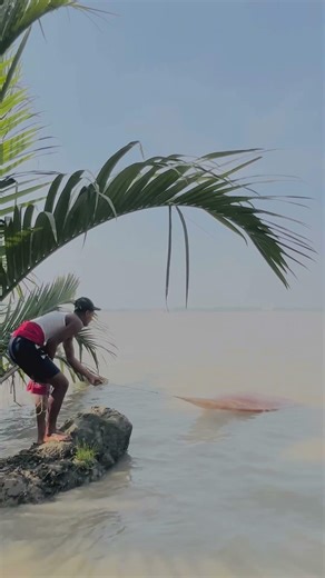 Big Fish Catching with Cast Net in the Deep Sundarbans River#amazing #fishing #villagelife