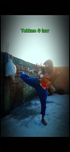 Tekken 6 law fight