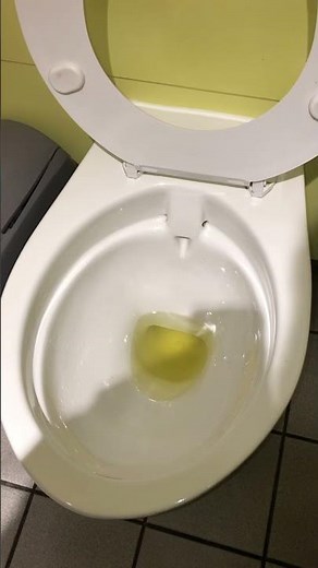 Armitage Shanks toilet in Sainsbury’s