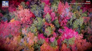 226K views · 2.3K shares | “Un-be-leaf-able!” Incredible drone footage captured the full array of fall colors on display in Utah’s Ogden Valley. | Fox News | Facebook