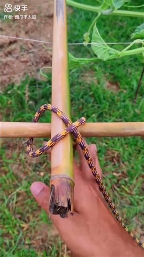How to Build a Bamboo Bean Trellis #farmingtips #technique