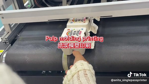 Innovative Single Pass Digital Inkjet Printers