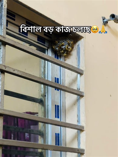 বিশাল বড় কাজ চলছে🥹🙏