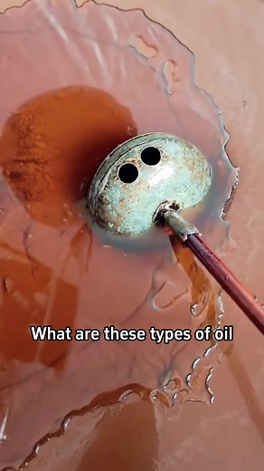Understanding the Oil Extraction Process in Science
