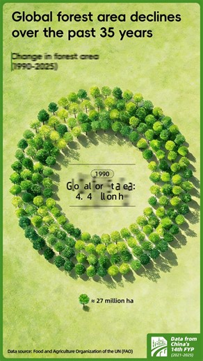 China is leading the global fight against deforestation, contributing 44.5 percent of the total increase in global forest area from 1990 to 2025, according to the Global Forest Resources Assessment 2025, a UN Food and Agriculture Organization report tracking global forest changes. Such progress places China at the forefront of global reforestation efforts, making a significant impact in the drive to protect the world's forests. These efforts are central to the 2030 Agenda for Sustainable Develop