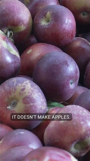 Bonus Clip: Farming Challenges of a Late Freeze