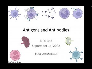 Immunology Fall 2022: Lecture 7 Antigens and Antibodies