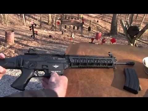 SIG 556 Classic Swat Model