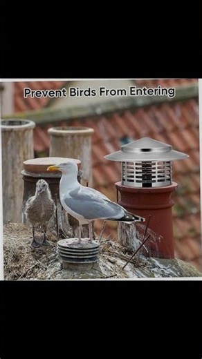 BESPORTBLE 3inch Stainless Steel Chimney Cap Showcase