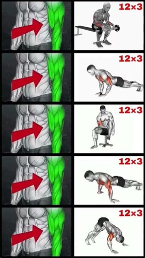 Maximize Muscle Growth: The Ultimate FULL ARMS WORKOUT at Home! 💪 #ArmsWorkout #HomeWorkout #shorts