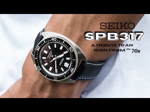 Seiko's BEST Dive Watch REISSUE So Far | SPB317 Review