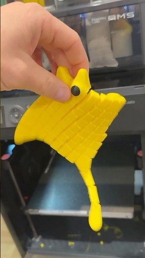 Manta Ray Flexi 🪼 best articulating 3d print #3dprinting #3dprinted #bambulab #3dprint