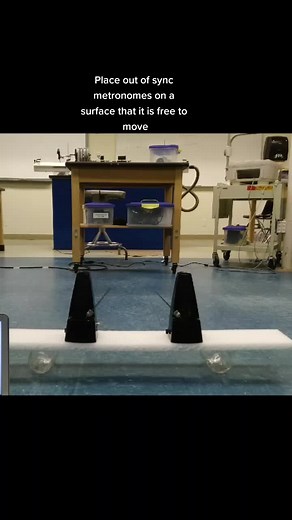 spontaneous synchronization #math #science #physics #nerd #geek #learning #educational #nonpolitical #spontaneoussynchronization #metronome #sync