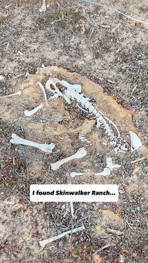 👽📺Season 6 of The Secret of Skinwalker Ranch on the History Channel just came out this week! So I thought I’d share my experience when I drove to the outskirts of the ranch a few months ago. ➡️If you’d like to see more hidden gems and must-see spots in Utah, feel free to follow along! If you don’t know the history of Skinwalker Ranch, it’s definitely worth looking up. But be warned, you’ll probably end up down a really deep rabbit hole 😅 I visited a couple of years ago with a few family membe