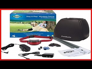 PetSafe Stay and Play Wireless Pet Fence for Stubborn Dogs