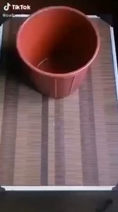 9.8K views · 120 reactions | If you want to swap your plastic bag bin liners for paper bin liners, here's how to make them out of newspaper. #GreenLifeHacks #Sustainable #LiveGreen VC: Ministry of Jal Shakti, Department of Water Resources, RD & GR | TheBetterIndia | Facebook