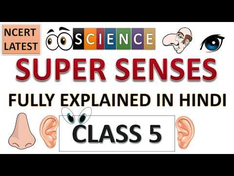 Super Senses Class 5 EVS Chapter 1 | NCERT Explanation | CBSE 2026 | #class5