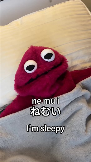 Learn Japanese with a Dedicated Teacher | N3, N4, N5 Levels