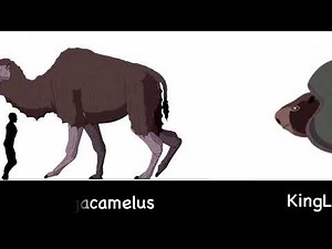 Animated size comparison Part 2￼