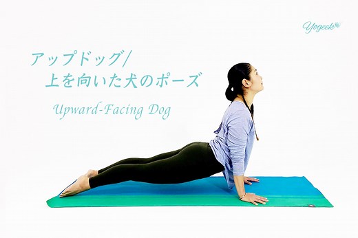 肩甲骨の使い方がコツ！アップドッグ（上を向いた犬のポーズ）のやり方と効果