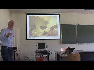 Conférence | Découvrez le Deep Learning !