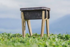 L'invention d'un ciment de construction comestible (4 fois plus résistant) fabriqué à partir de déchets alimentaires