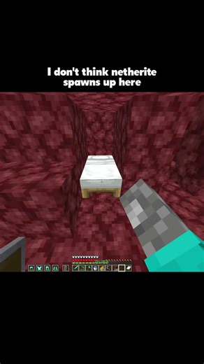 Netherite Does Not Spawn Here 😅