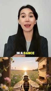 🐝 Why Do Bees Dance? (And What It Teaches Our Kids!)