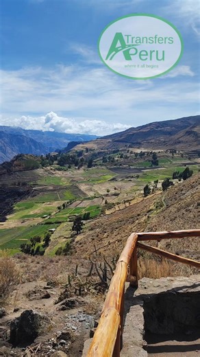 Tapay in Colca Canyon refers to a specific, less-crowded viewpoint (Mirador de Tapay) and an alternative, challenging trek within Peru's Colca Canyon, offering deep canyon views, chances to see condors, pre-Inca terraces, and traditional Andean villages, distinct from more common tourist spots. It highlights the canyon's stunning geography, rich culture, and biodiversity, including condors, and serves as a starting point for deeper exploration into the valley. #transfersperu #carlitostours #peru