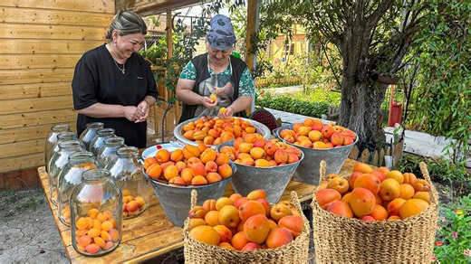 36K views · 845 reactions | Harvesting Fresh Apricots Making Apricot Compote and Flower Cookies | Outdoor Cooking | Facebook