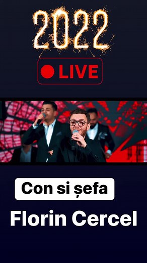 Live Performance by Florin Cercel: A Musical Experience