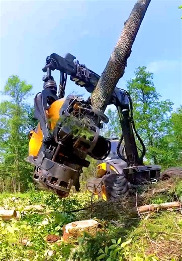 Watch what this wood machine can do! 🪵 | MetDaan DIY