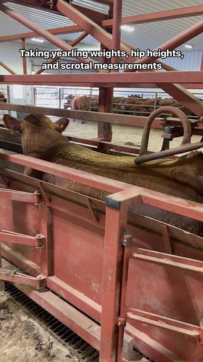 5.6K views · 927 reactions | We are one step closer to the Bieber...