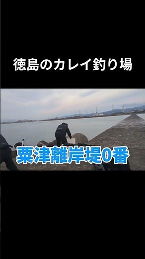 Flounder fishing spot in Tokushima [Awaji Island Offshore Breakwater No. 0]