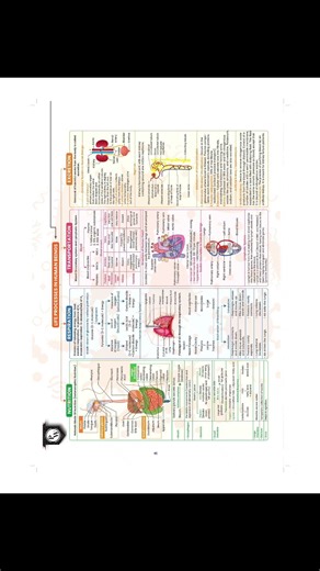 Class 10 Science One Page Notes of Ch 5