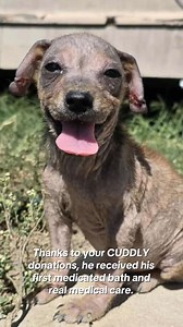 3.3K views · 130K reactions | For the next 12 days, we’ll be sharing...