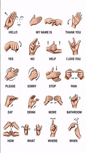 Learn Basic Sign Language 🤟✨Communication Has No Limits ❤️ #dailyenglish #skypeenglish #prefix