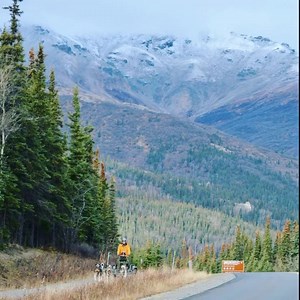 Fall training is in full force! Prepping our sled dogs for their winter patrols can be a lot of work but these pups are having a blast - SO EXCITED to pull again after the interesting summer season - They do such important work in this huge remote park. Sled Dogs uphold our #wildernesscharacter and are an important part of #Alaskanheritage. We are happy the dogs are #lookingood #feelinggood and #readyforwinter NPS/T.Devine🎥 [Alaskan huskies shake off and harness up to pull an interesting lookin