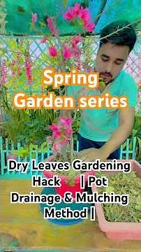 Dry Leaves Gardening Hack 🌿 | Pot Drainage & Mulching Method | Spring Garden Day 19