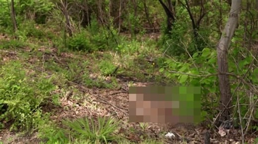 Dogs are being dumped at this Detroit park. What is the city doing?