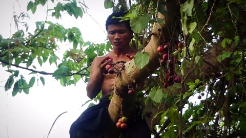 A Handcrafted Underground Villa With Pool and Animals Living Peacefully in the Jungle
