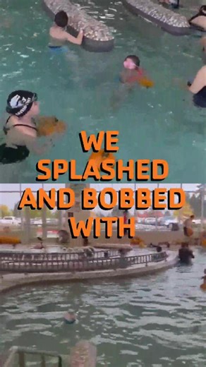 Gourds Galore! We splashed and bobbed with pumpkins in the pool 🎃 🏊 .. #EverettFamilyYMCA #EverettYMCA #Y4LIFE #SnocoYMCA #YMCA #phonesdowneyesup #ymcaofsnohomishcounty #swimmingisfun #watersafety #learntoswim #PumpkinsInThePool #Halloween | Everett Family YMCA