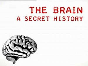 The Brain: A Secret History