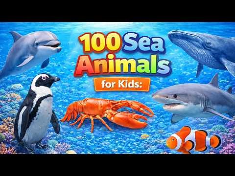 100 Sea Animals for Kids to Learn | Sea Creature Names & Facts with Real Ocean Footage