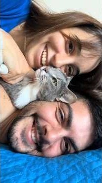 A phone screen full of love — cats & dogs together ❤️🥺