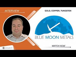 Blue Moon Metals: On the Way to Becoming the Sole Supplier of Tungsten in the U.S.