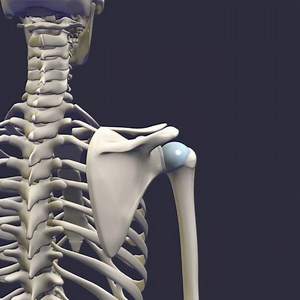 25K views · 649 reactions | Shoulder Kinematics . The shoulder is the...