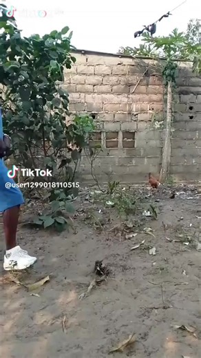 art ya mopaka (@yamopaka083)’s videos with son original - art ya mopaka